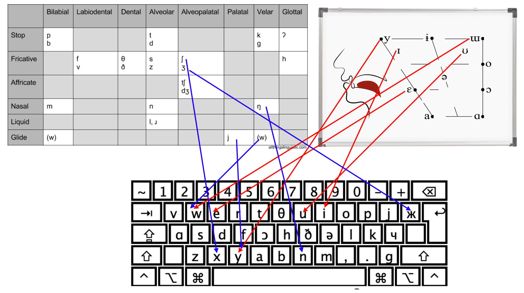 Finglix Chart